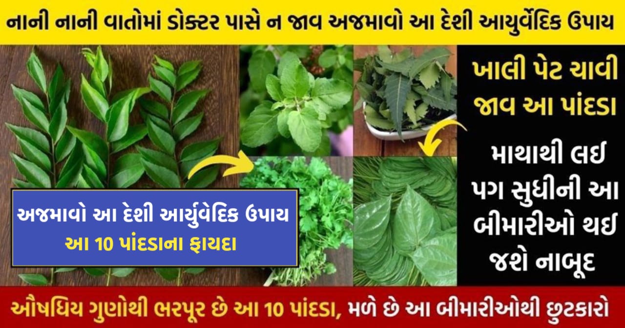 Know the benefits of these 10 leaves full of medicinal properties